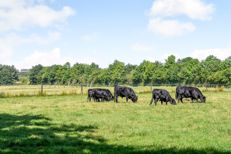 Billede_Ejendommen_5518