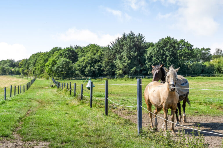 Billede_Ejendommen_5542