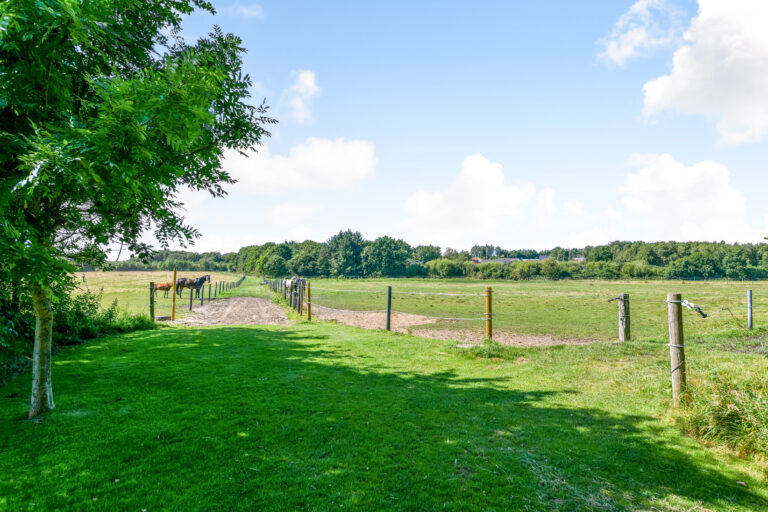 Billede_Ejendommen_8323